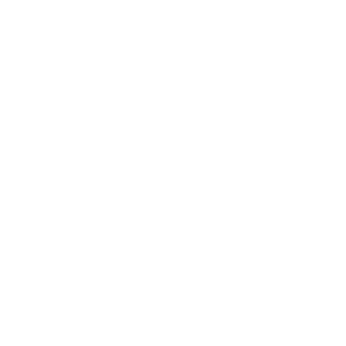 Seprotec Logo